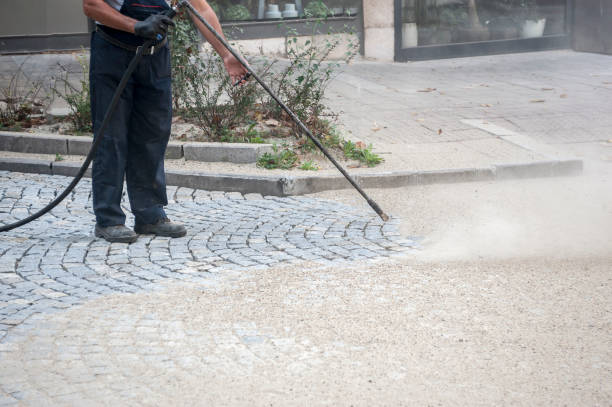 Best Pre-Holiday Cleaning  in Comstock Park, MI