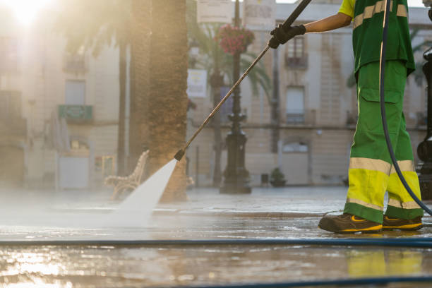 Best Dumpster Area Cleaning  in Comstock Park, MI